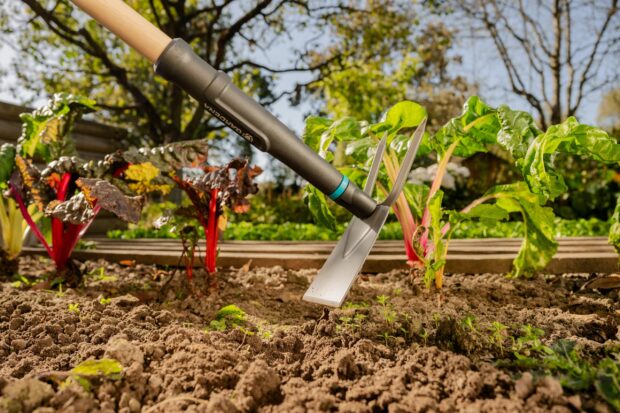 PureLIne Motyčka záhradná