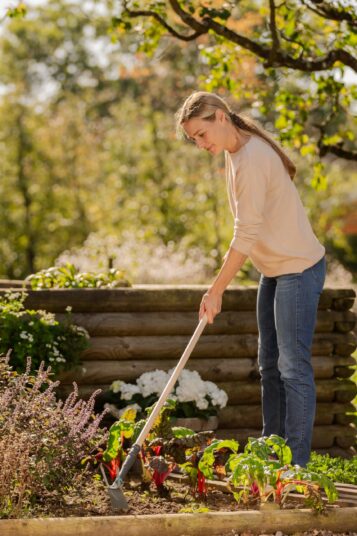 PureLIne Motyčka záhradná
