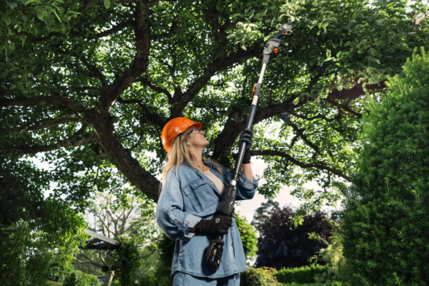 Aspire PS30X-P4A Aku tyčové nožnice (bez aku. a nabíj.)